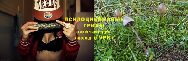 мдпв Бугульма