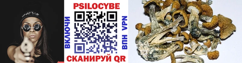 Псилоцибиновые грибы GOLDEN TEACHER  хочу   Медногорск 